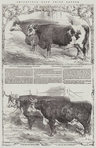 Ganado premiado del Club Smithfield de Harrison William Weir